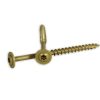 Accessories * | Special #8 X 1-3/4 In. Ppg 1,000 Hour Golden E-Coat Cabinet Screws 5Lb